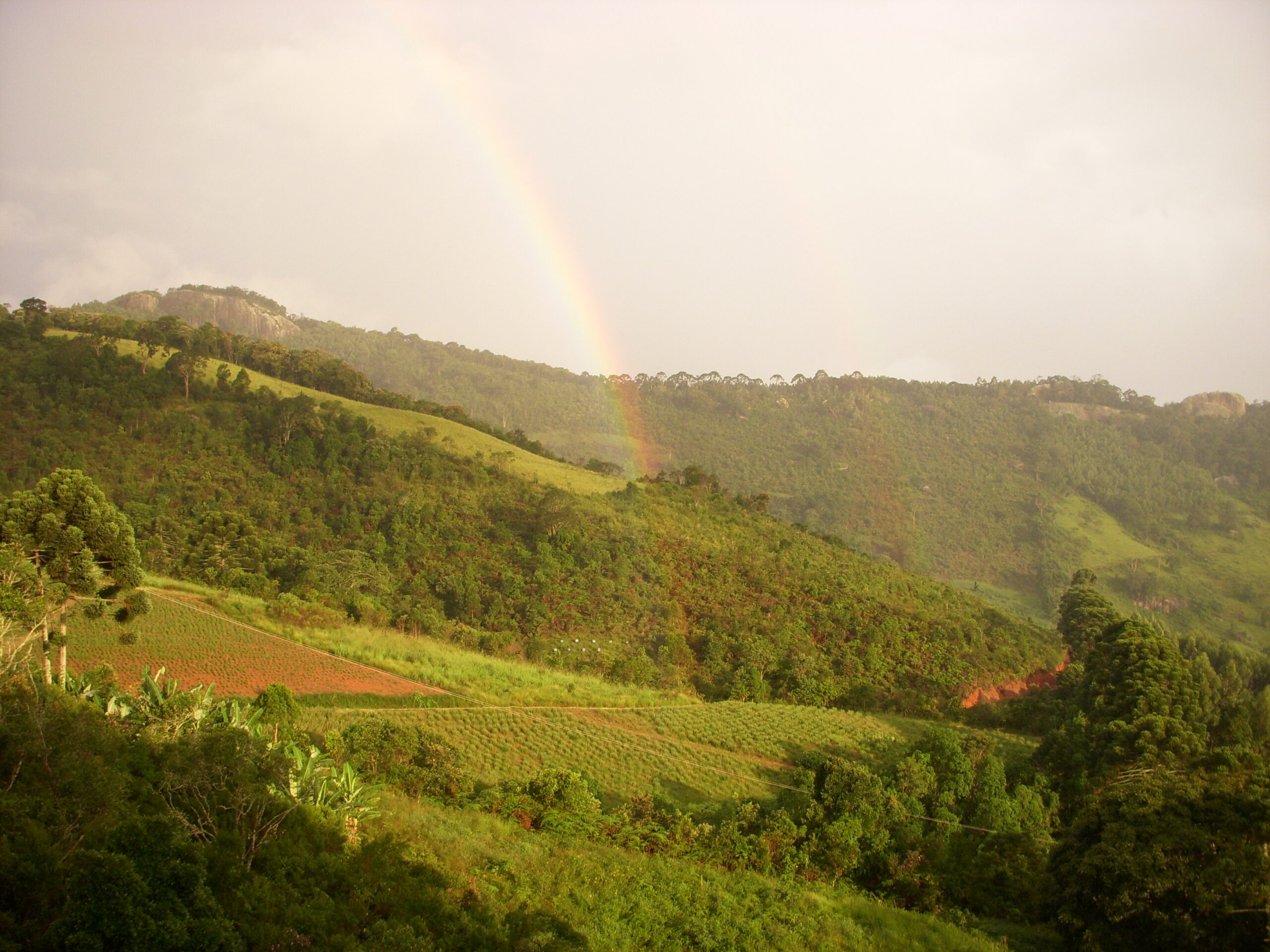 Campos vista do alto (1)