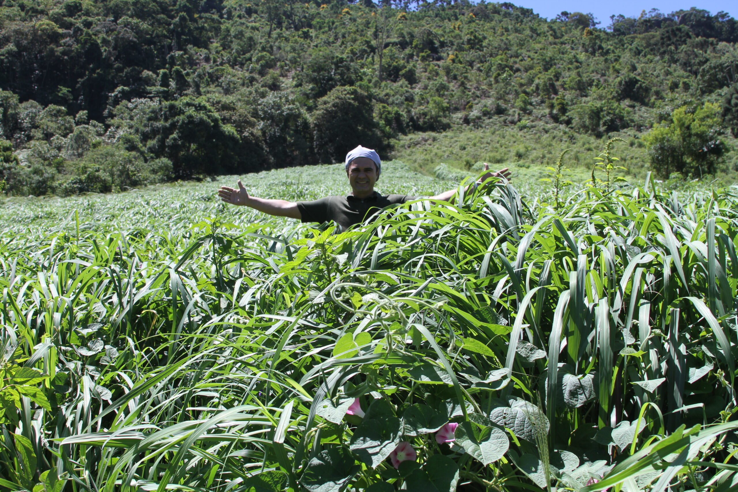 Fernando Amaral em meio ao Campo de Lemongrass antes da colheita